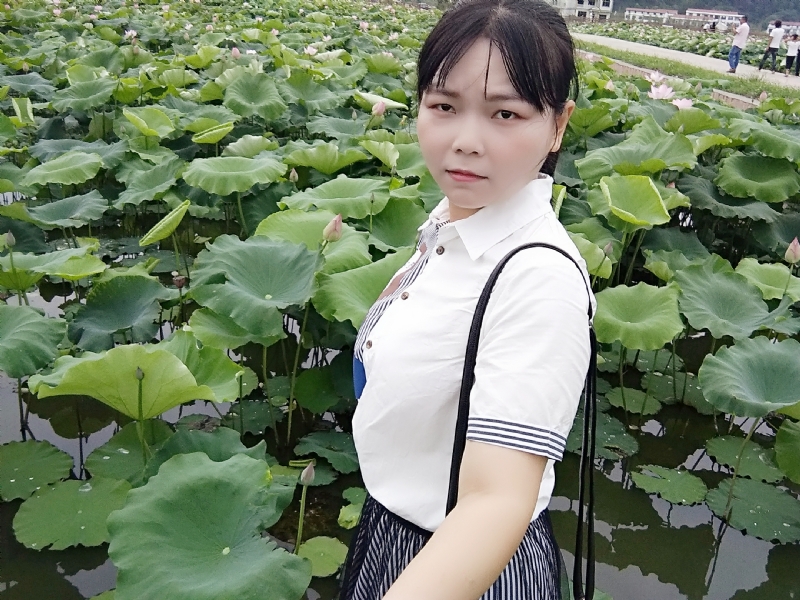 小五同学的第二张照片--王婆说媒