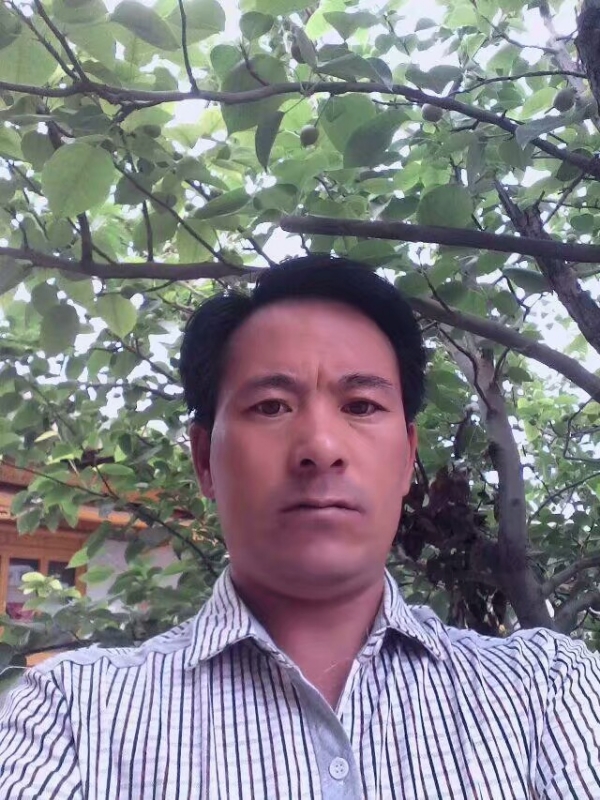 巧遇的第一张照片--王婆说媒