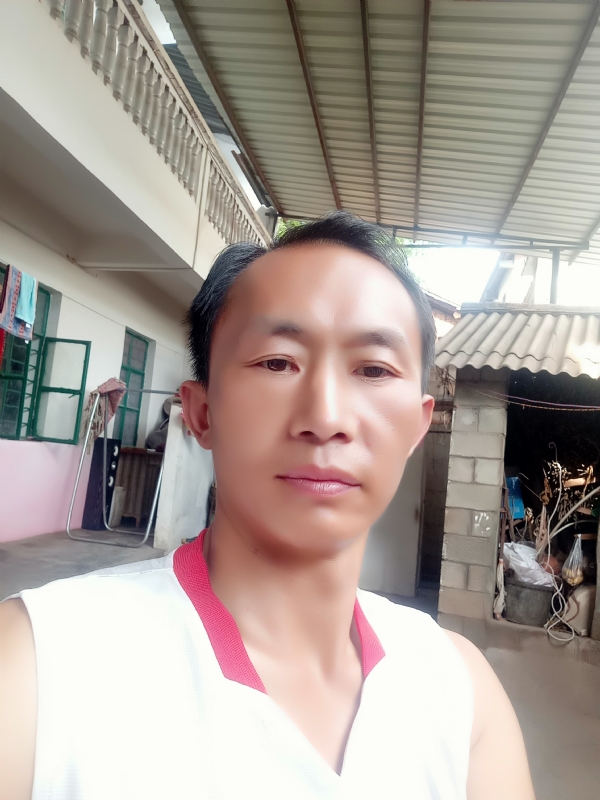 白鸽的第一张照片--王婆说媒