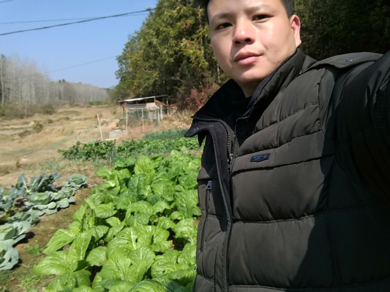 倔强的驴的第一张照片--王婆说媒