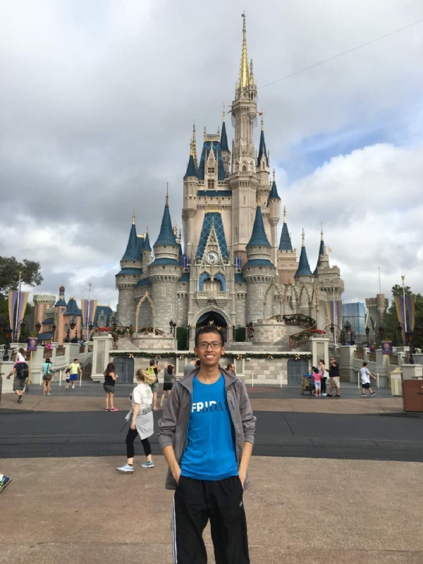 太阳花的第一张照片--王婆说媒