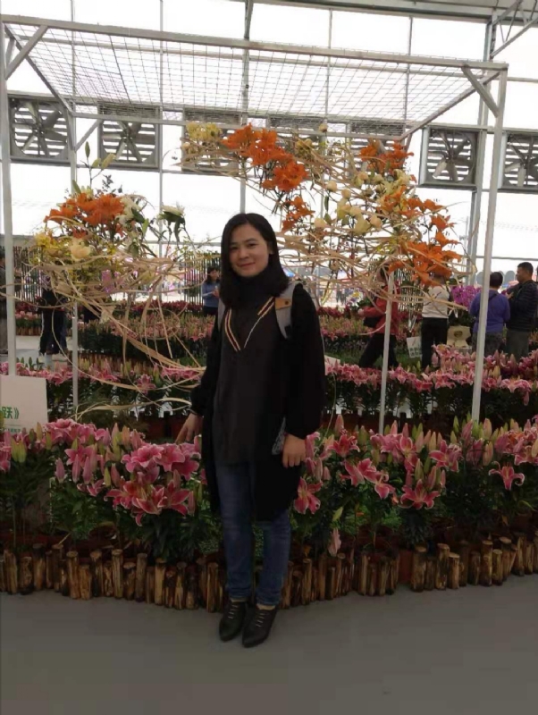 紫苏的第二张照片--王婆说媒