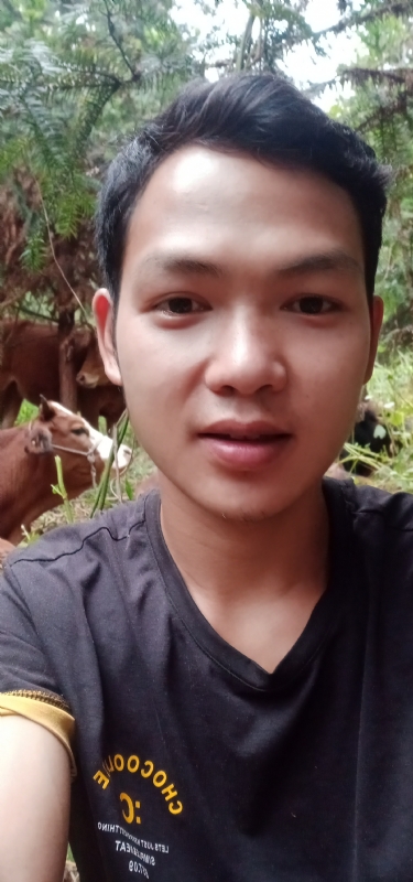 等AI的第一张照片--王婆说媒