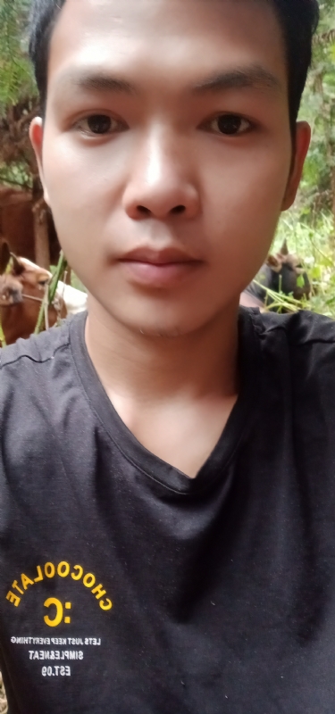 等AI的第三张照片--王婆说媒