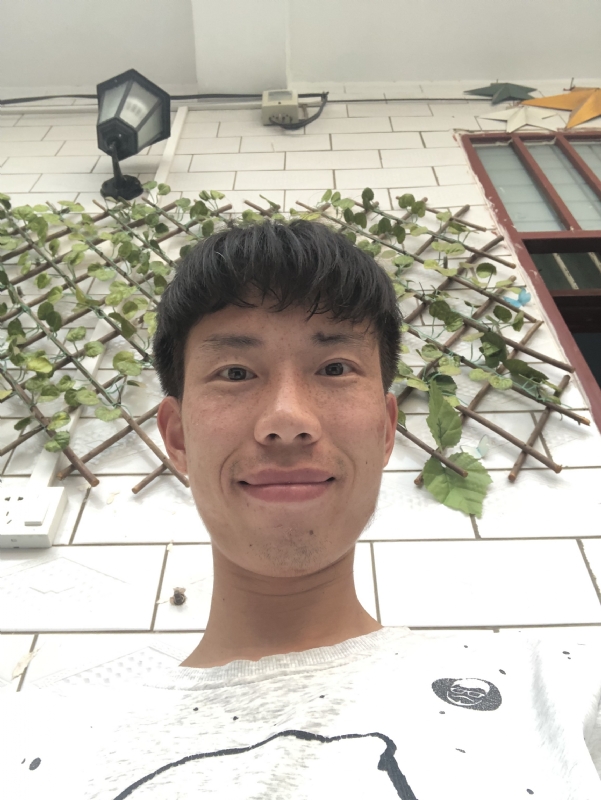 夏天的第三张照片--王婆说媒