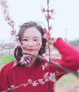 小桌子的第一张照片--王婆说媒