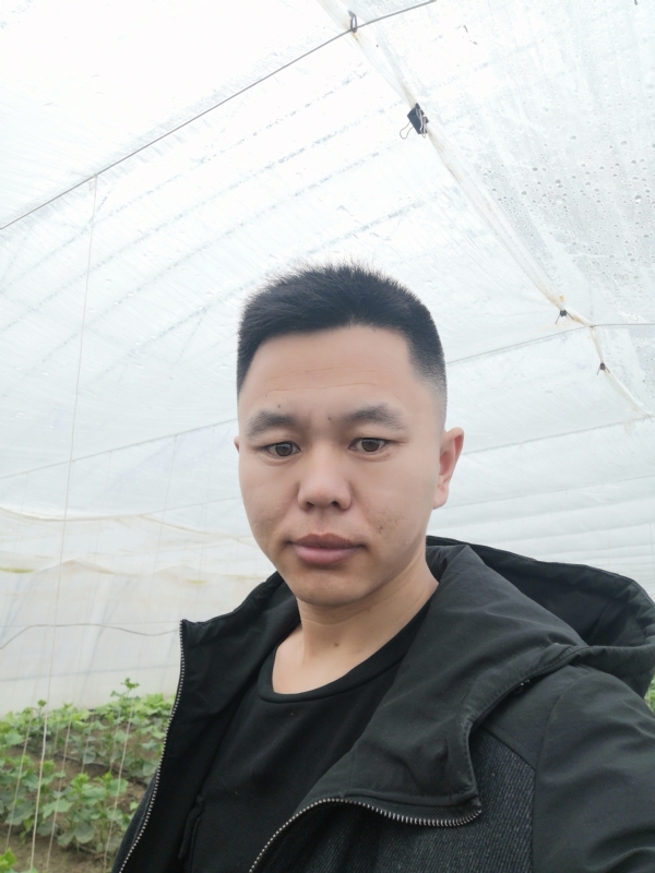 宇成的第二张照片--王婆说媒