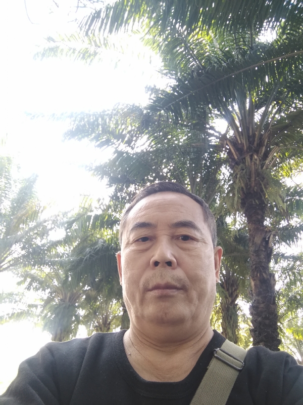 重振雄风的第二张照片--王婆说媒