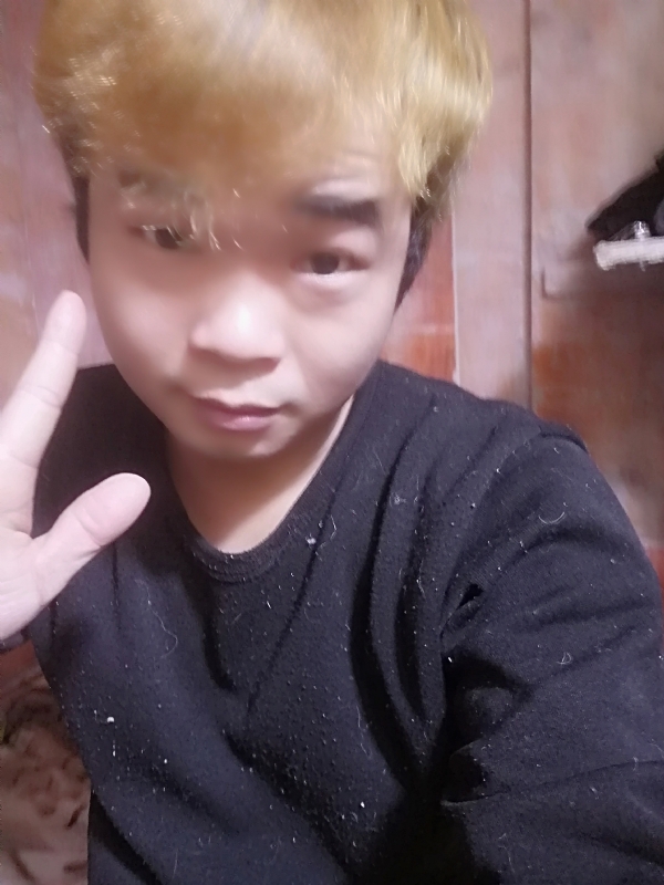 晴天的第三张照片--王婆说媒