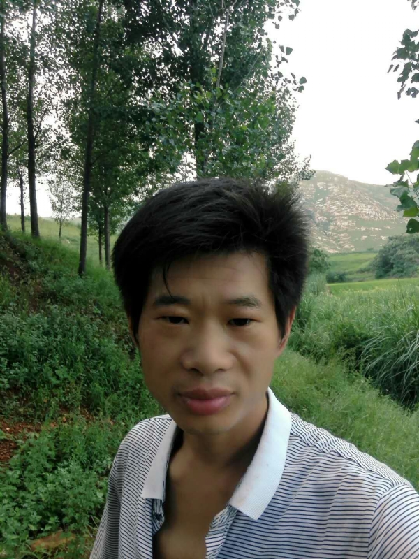 好男儿的第三张照片--王婆说媒