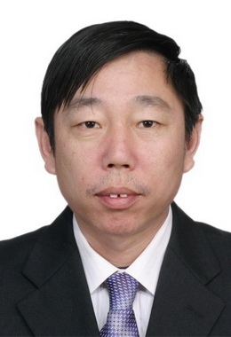 绿油油的榕树的第一张照片--王婆说媒