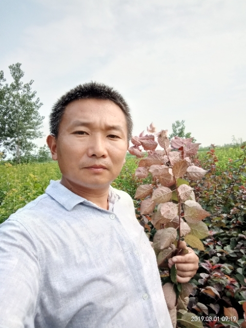 孩子爸的第二张照片--王婆说媒