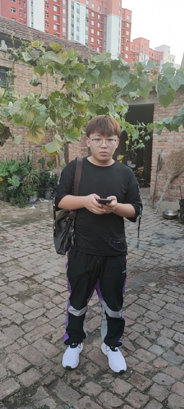 辛禹的第二张照片--王婆说媒