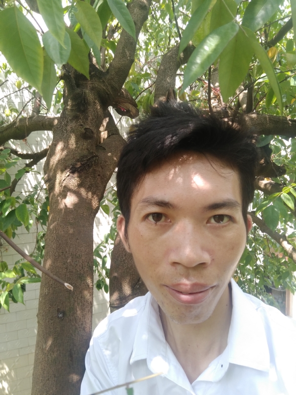 求缘的第一张照片--王婆说媒