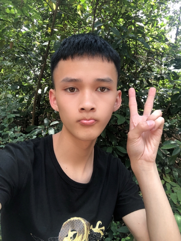 爱你到最后一刻的第二张照片--王婆说媒