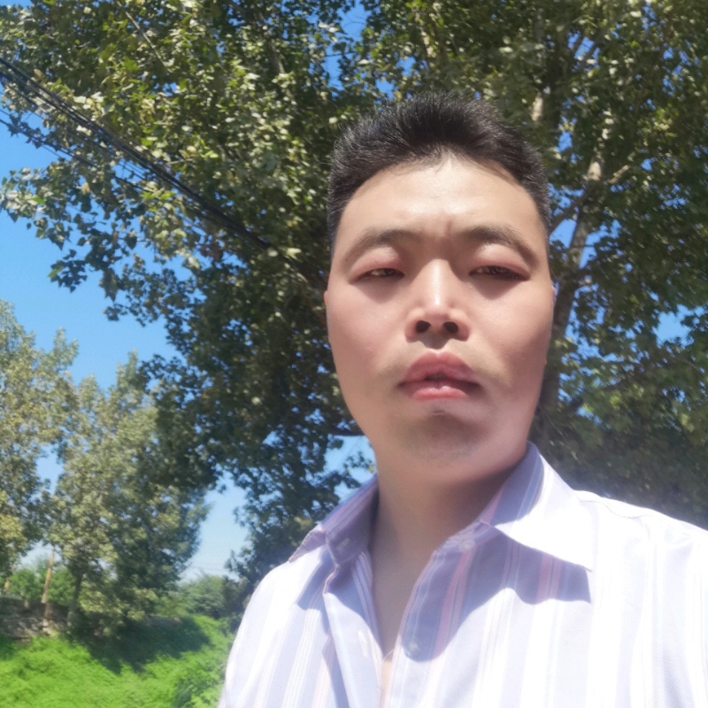 机灵的鹏鹏的第一张照片--王婆说媒