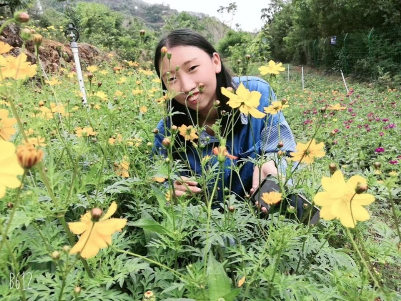 哈哈的第一张照片--王婆说媒