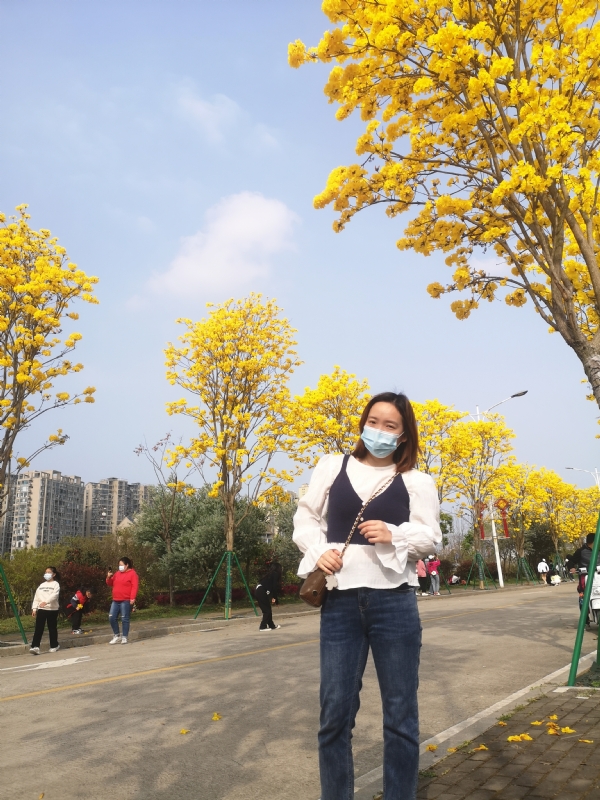 安安的第一张照片--王婆说媒
