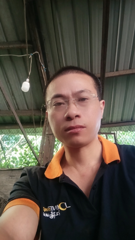 一个人好难的第六张照片--王婆说媒