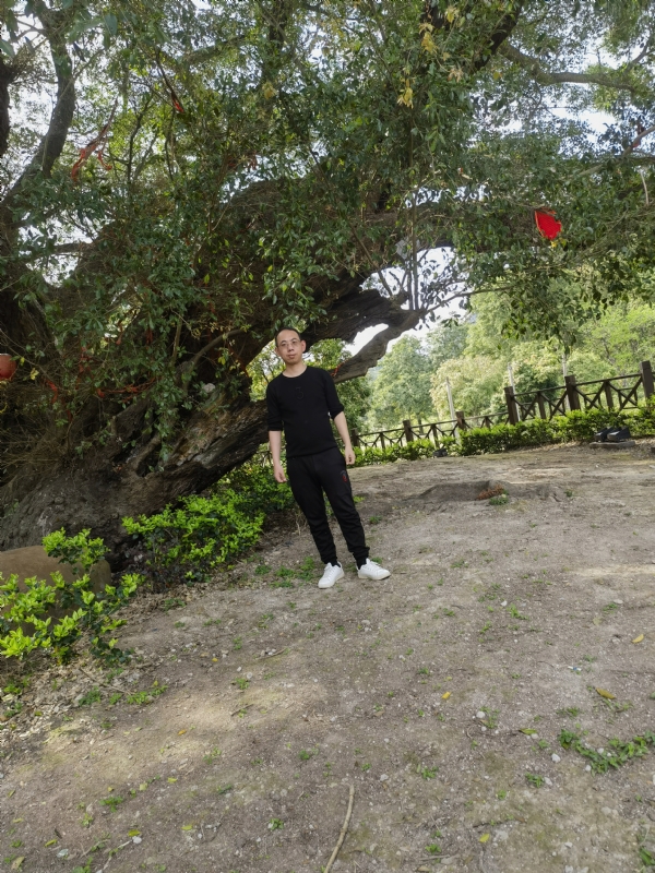 师傅被妖怪吃了的第一张照片--王婆说媒