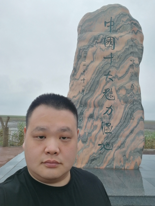 石头的第二张照片--王婆说媒