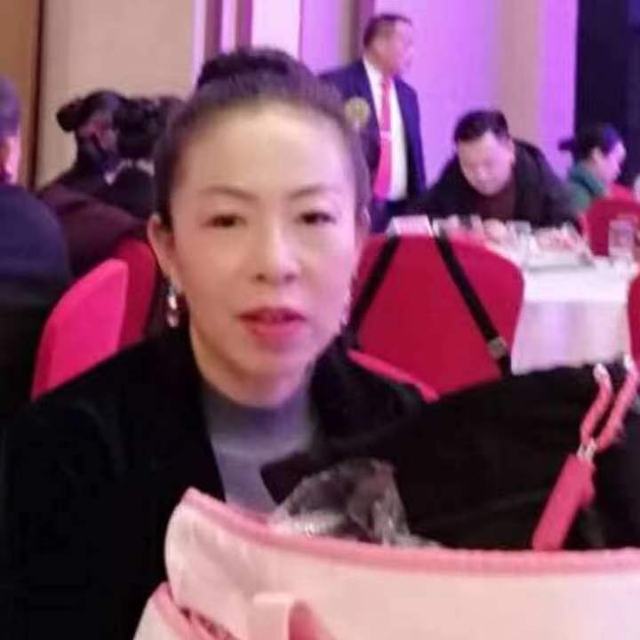 中秋桂花玉兔的第四张照片--王婆说媒