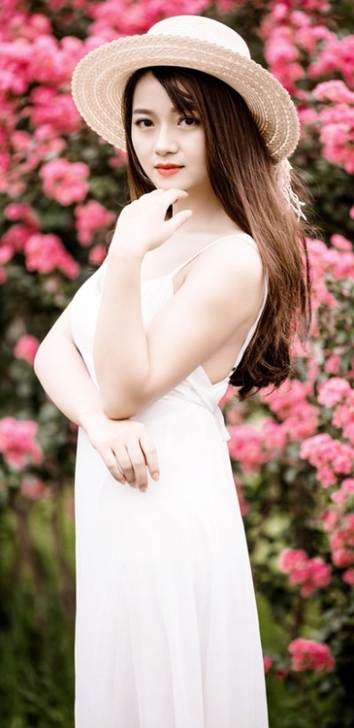 专业鸡的第一张照片--王婆说媒