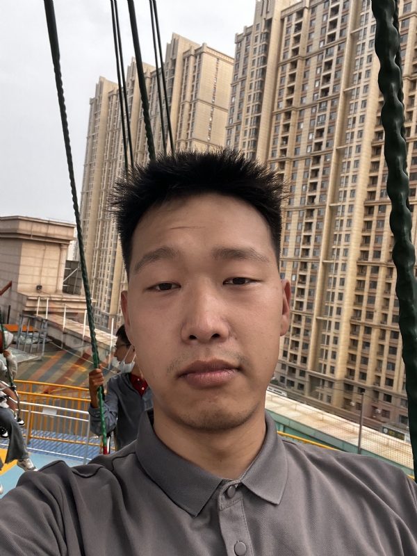 灰二的第一张照片--王婆说媒