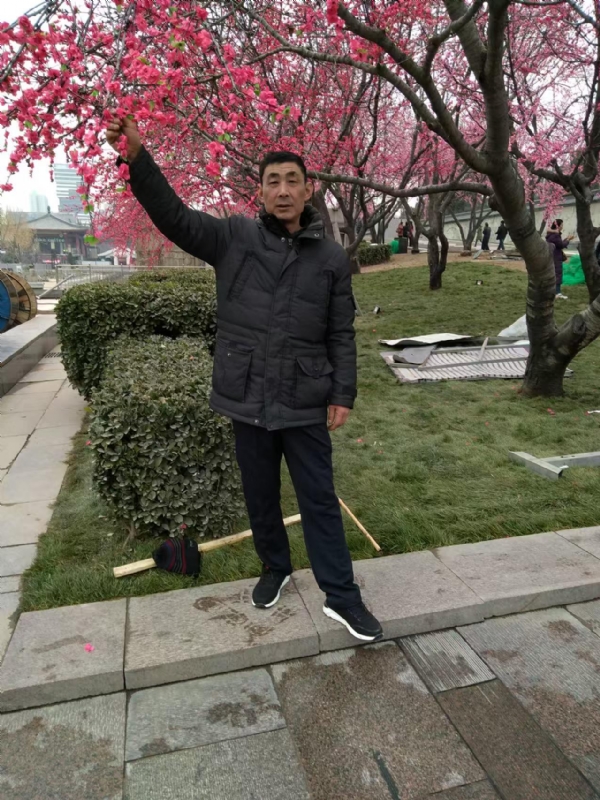 风雨的第一张照片--王婆说媒