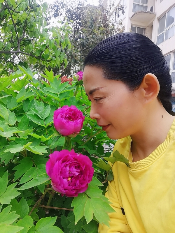 厚德载物的第一张照片--王婆说媒