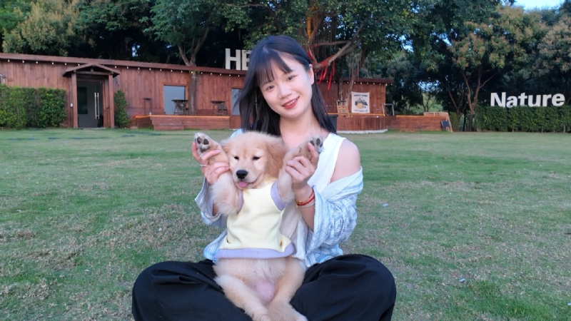猫姐的第三张照片--王婆说媒