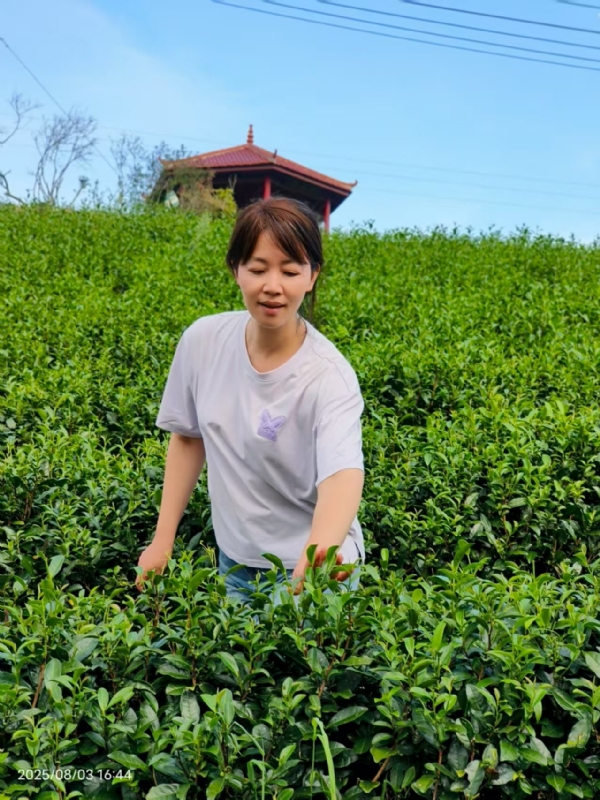 Q绮芳的第一张照片--王婆说媒